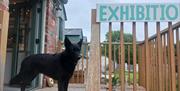 A dog standing on a deck with a sign saying Exhibition