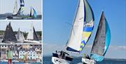 Collage of sailing boats on Strangford Lough