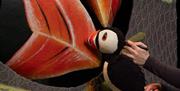 Puffling Percy