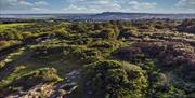An aerial photo of the Country Park showing the expanse of forest, with Scrabo Tower in the background