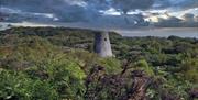 A photo of the remnants of the Whitespots windmill surrounded by forest, with a moody sky in the backdrop