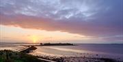 WWT Castle Espie - sunset dusk scene over the wetlands.