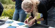 Cyanotype Printing Workshop