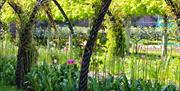 Bangor Castle Walled Garden