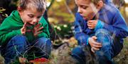 Two boys looking at fungi in the woods.