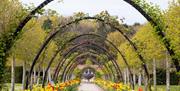 Walled Garden