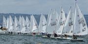 ILCA sailing Dingiest startline