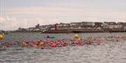 Pickie Swim 3
