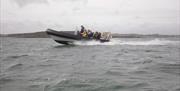 Portaferry Boat Trips