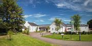 Exterior of Castle Espie visitor centre - a white building surrounded by grass and trees.