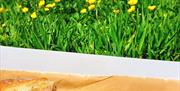 Picnic