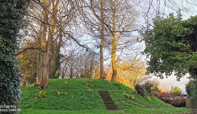 a photograph of the motte surrounded by some trees