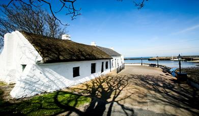 A close up photo of Cockle Row Cottages in Groomsport with a sense of location beside the harbour