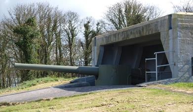 Grey Point Fort canon