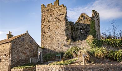 Portaferry Castle, view from the road