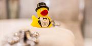 A Hastings rubber duck sitting on the bathside