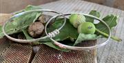 a photograph of 2 silver bangles with leaves and acorns