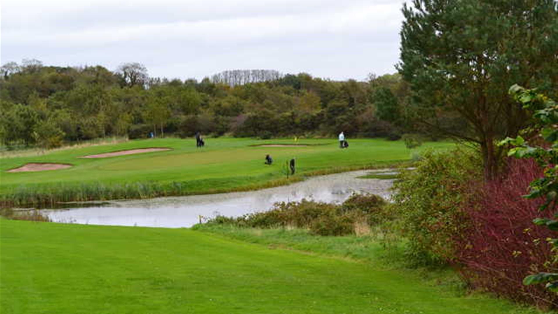 Photo of golfers in play on the green