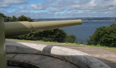 a photograph of a canon pointing towards the water