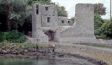 Photo of Mahee Castle, with bridge way and water to forefront