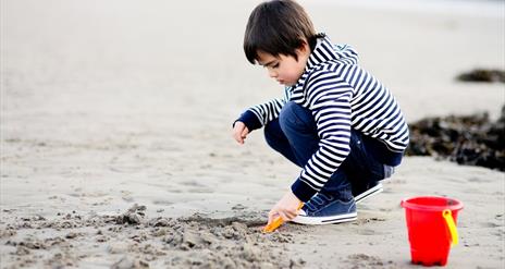 a photo of a boy digging a hole at the beach