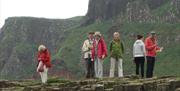 A group of tourers visiting the Giants Causeway