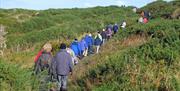 A large walking group trailing through Ballymacomick Point