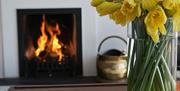 Lit fireplace with vase of daffodils to forefront