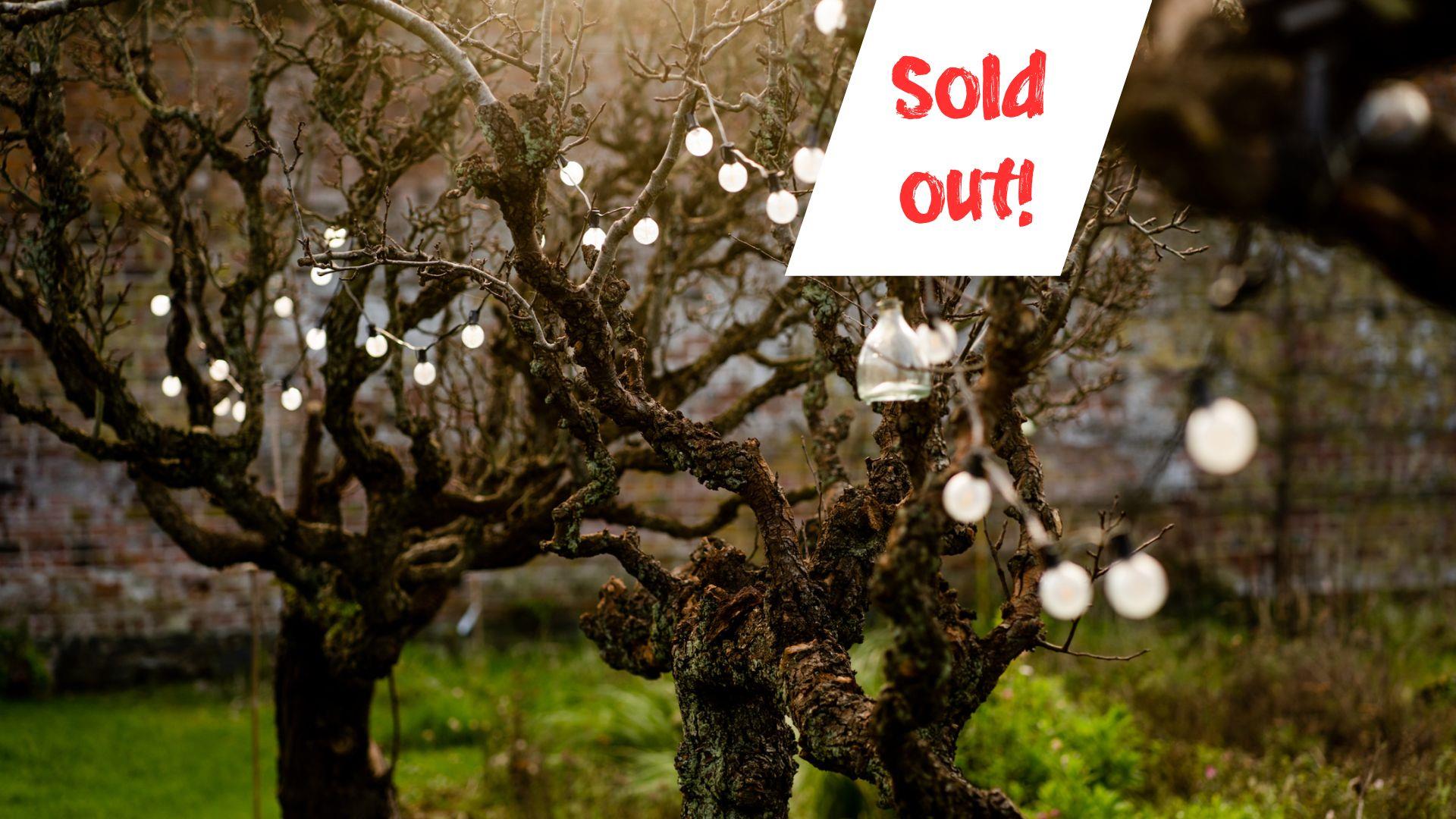 A string of lightbulbs trailed through the branches of trees in the walled garden with the text sold out