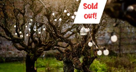 Sold Out - A Midsummer's Evening Picnic, 24 June - Experience AND 2023