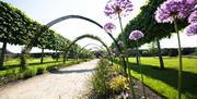 Photo of Bangor Castle Walled Garden arches and flowers. The Garden is located within Castle Park grounds.