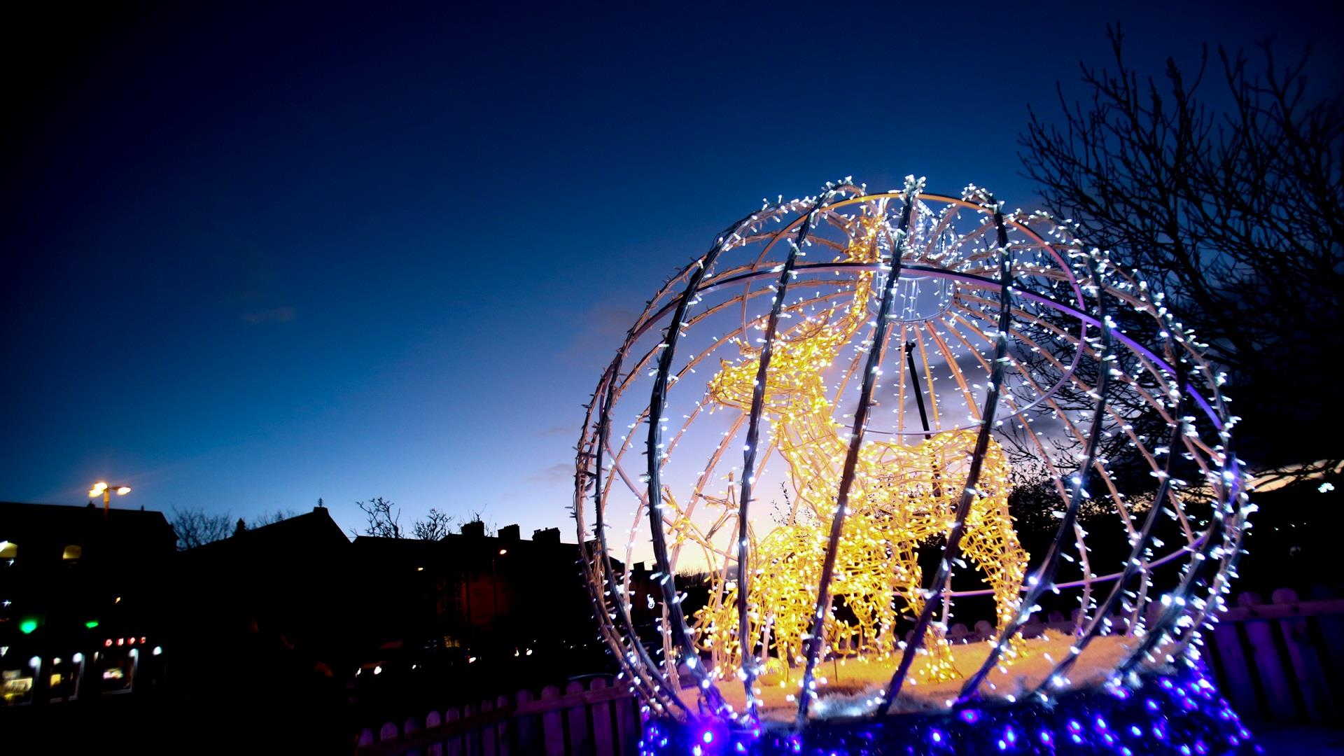 Photograph of Christmas decor in Bangor of a Reindeer and its young lit up within a globe of fairy lights