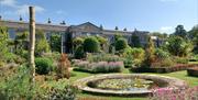 Draw inspiration from the gardens at Mount Stewart