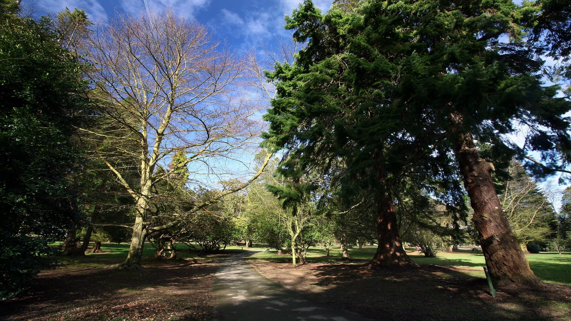 Photo of walkway through leafy Castle Park