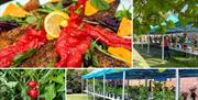 A collage of four images including a BBQ dish with chillis, a Chilli plant and stalls of chilli plants