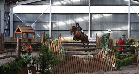 Horse and rider mid-jump
