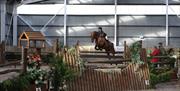 Horse and rider mid-jump