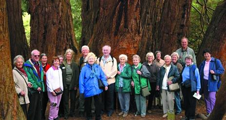 A tour group posing for the photo in the woods