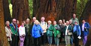 A tour group posing for the photo in the woods