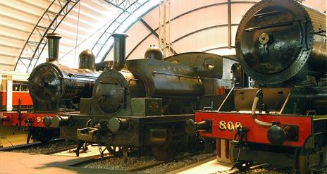 Image of three steam trains within a hanger of the Transport Museum