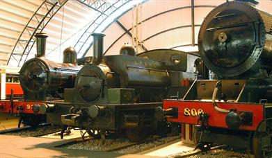Image of three steam trains within a hanger of the Transport Museum