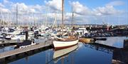 Photo of a lone boat with others in the background moored at Bangor Marina