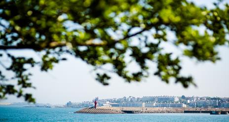 A photo from a distance showing Eisenhower Pier on a sunny day, framed by a leafy tree branch