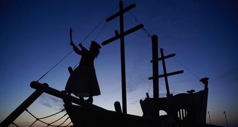 The outline of a female pirate  standing  on a ship  holding a cutlass in the air against the backdrop of a sunrise.