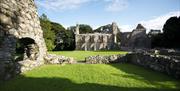Grey Abbey ruins in the sunshine