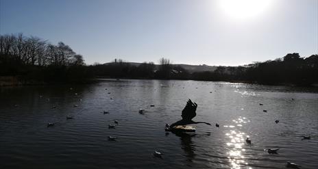 A photo of the winter sun shining on Kiltonga Duck pond with Scrabo Tower in the background