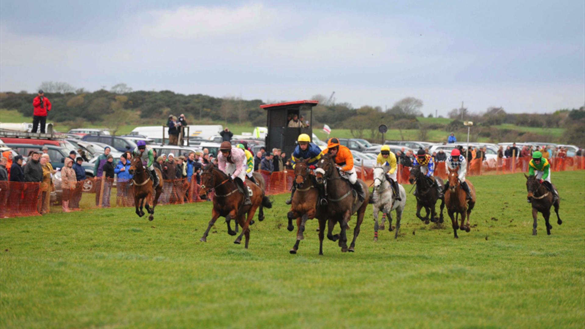A horse race in action