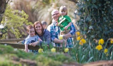 A family posing amongst daffodils