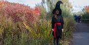 A child dressed as a witch at Castle Espie