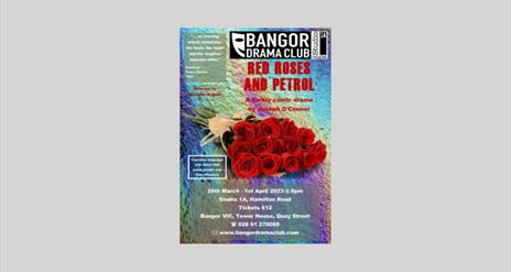 Red Roses and Petrol by Joseph O’Connor